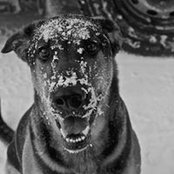 Brian Noll's photo