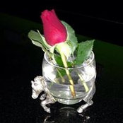Barbara Ryanさんの写真