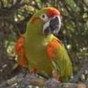 Wendy Craig's photo