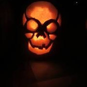 Emilie Schilling's photo