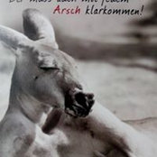 Sashka Dimitrova's photo