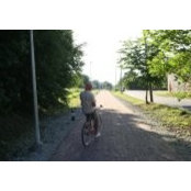 Martin Karis's photo