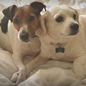 Lisa Burrell's photo