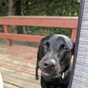 Donna Leavitt's photo