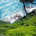 Foto di profilo di Alessio Balzarotti giardiniere