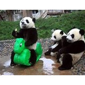 Deirdre Van Meter's photo