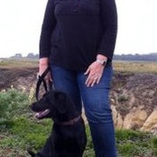Cathy Stratmeyers billede