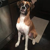 Ellie Canton's photo