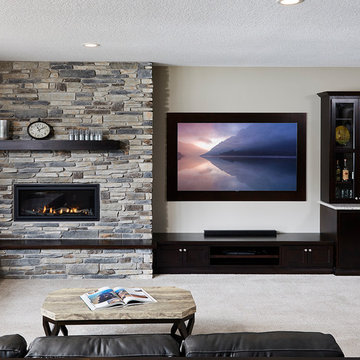 Lower Level reimagined in Ham lake