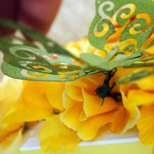 lynnette_ferrer's ideas