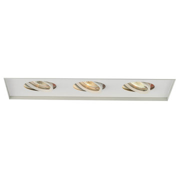 WAC Lighting MT-316TL Low Voltage Recessed Multiple Spot - - White