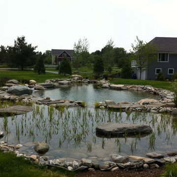 Charlotte Natural Swimming Pond