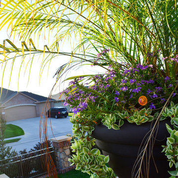 Corner lot Courtyard