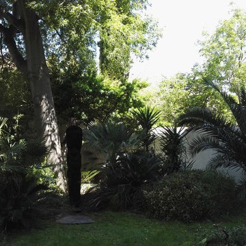 Réalisation d'un Jardin de Ville