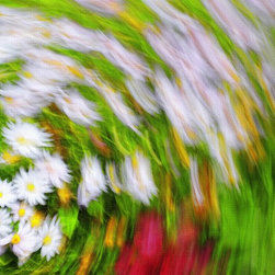 Fine Art Photography - Digital paintings - Products