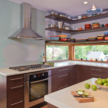 Arlington, Virginia - Contemporary - Kitchen Design
