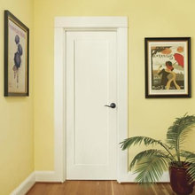 Remodel Doors
