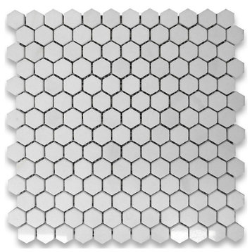 Thassos White Marble Hexagon Mosaic Tile 1 inch Polished, 1 sheet