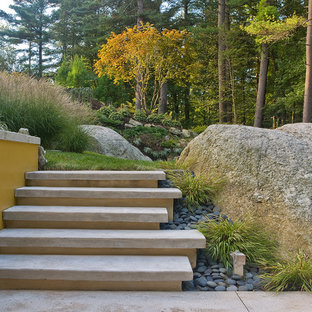 Photo of a large contemporary backyard garden for fall in Boston with with rock feature.