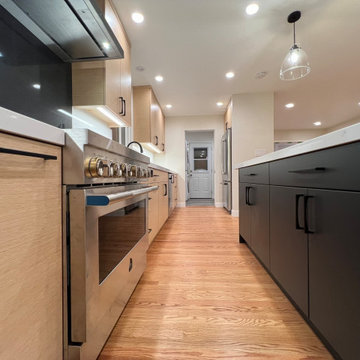 Alameda Modern Kitchen