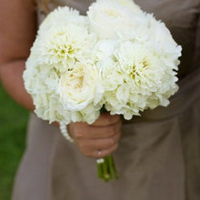 wedding bouquet