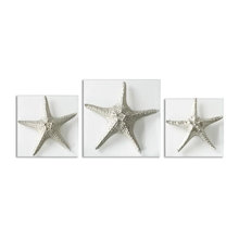 Wall