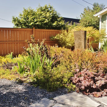 Seattle Yard Undergoes a Transformation