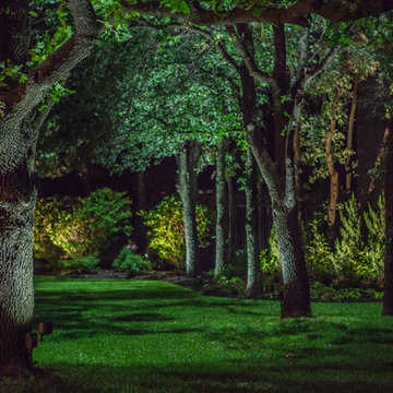 Low Voltage Up Lighting and Moon Lighting- Southlake