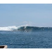 John Chaplin's photo