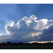 Paul Lecocq's photo