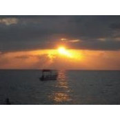 Donnie Jackson's photo
