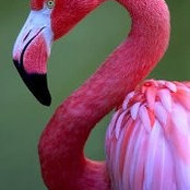 Kim Brown's photo