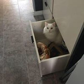 Foto von Sarah Speirs