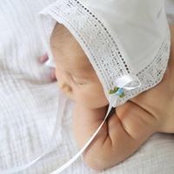 Lisa Wolff's photo