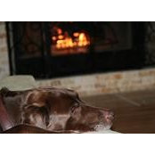 Marek Bogdziewicz's photo