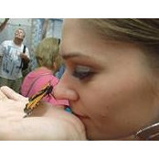 Sarah Barrows's photo