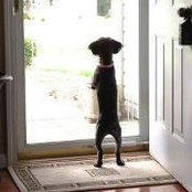 Karen Klett's photo
