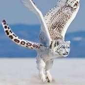 Chris Bobo's photo