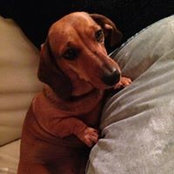Clare Meaney's photo