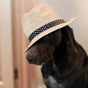 Clare Capper's photo
