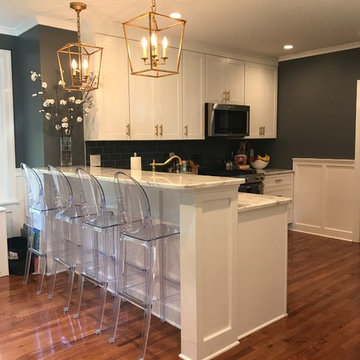Chestnut Hill Renovation