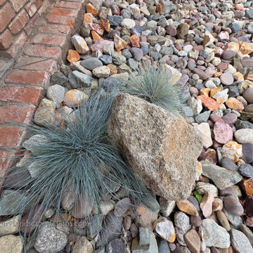 Irvine Turf Rebate Front Yard