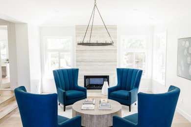 Living room - medium tone wood floor living room idea in San Diego with white walls, a standard fireplace and a stone fireplace