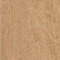 Belgique Natural by Di Lorenzo Tiles - Wall & Floor Tiles