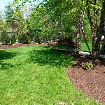 Beautiful Backyard