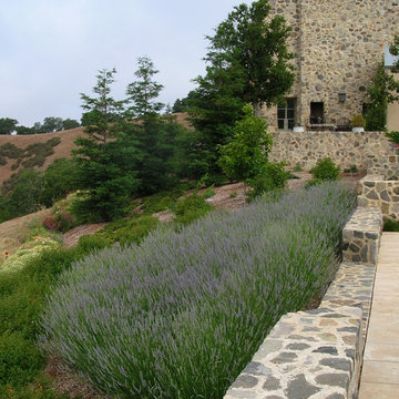 Napa Valley Formal