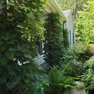 Design around existing trees