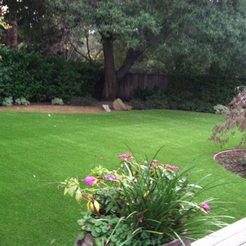 Purchase Green Back Yard Artificial Turf Lawn, Stanford CA