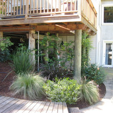 Landscaping - Under Deck
