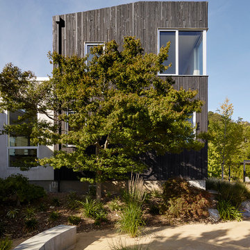 Shou Sugi Ban House